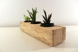 KUZELA  Ahşap Kütük Sukulentlik ve Mumluk - 3